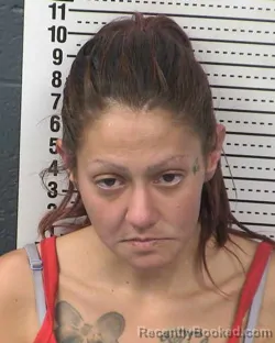 Booking photo from Dona Ana County, New Mexico