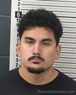 Mugshot of CARLOS ALBERTO MIYAGISHIMA