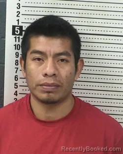 Mugshot of MARIO LOPEZ-GOMEZ