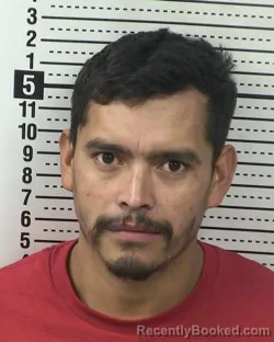 Mugshot of JOSE SANTOS-FLORES
