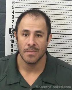 Mugshot of MIGUEL ARAUJO-SILVA