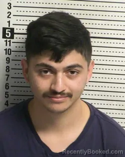 Booking photo from Dona Ana County, New Mexico