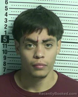 Mugshot of EZRA ANDREW KING