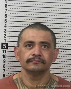 Mugshot of LUIS DEMETRIO CORONADO