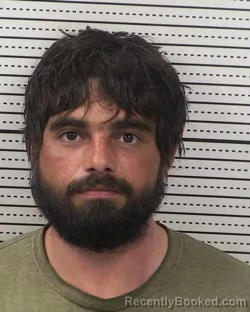 Mugshot of DAMIEAN DAVID GUYNES