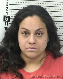 Mugshot of NATALI CASTRO