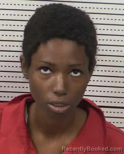 Booking photo from Dona Ana County, New Mexico