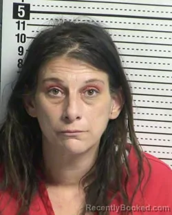 Booking photo from Dona Ana County, New Mexico