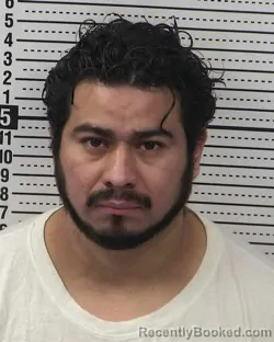 Mugshot of LUIS ARGUETA-DIAZ