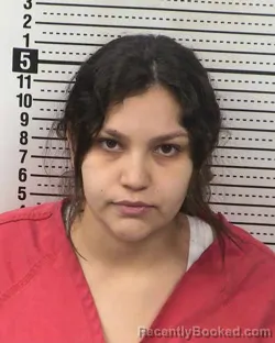 Booking photo from Dona Ana County, New Mexico