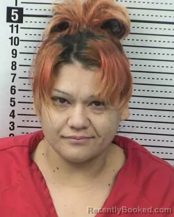 Booking photo from Dona Ana County, New Mexico