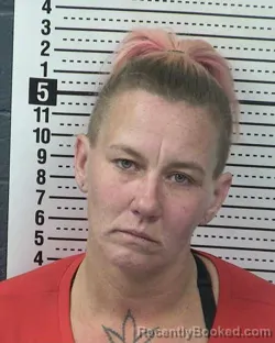 Mugshot of CHARLENE MARIE SCRIBNER