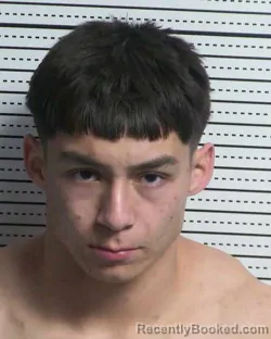 Booking photo from Dona Ana County, New Mexico