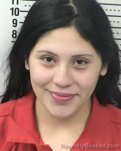 Booking photo from Dona Ana County, New Mexico
