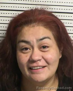 Mugshot of ELIZABETH NORIEGA