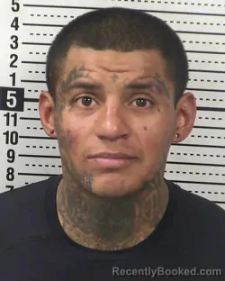 Mugshot of OLAJUWON HERRERA