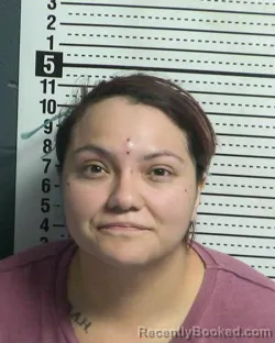 Mugshot of DANIELLE RODRIGUEZ