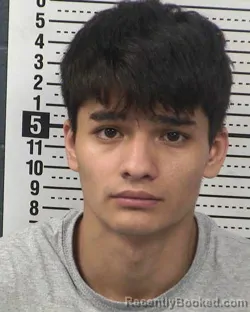 Mugshot of ALBERTO CALVILLO-CALVILLO