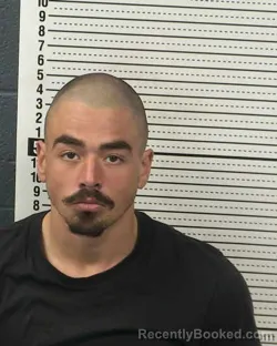 Mugshot of NICKOLI VICTOR DEDERA