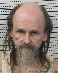 Mugshot of JOHN NELSON