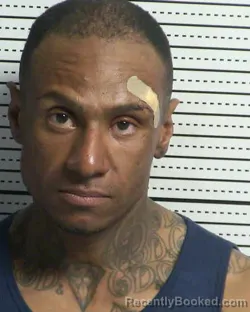 Mugshot of ANDREW RICARDO BROWN