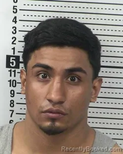 Mugshot of FERNANDO CASTANEDA-HERNANDEZ