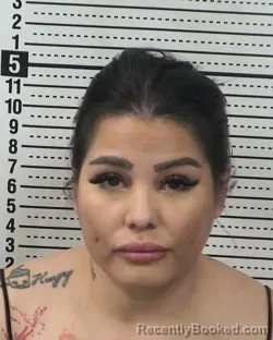 Booking photo from Dona Ana County, New Mexico