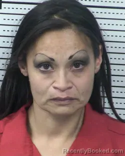 Booking photo from Dona Ana County, New Mexico