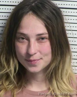 Booking photo from Dona Ana County, New Mexico