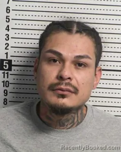 Mugshot of NOEL GONZALEZ