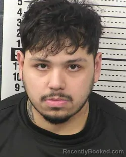 Mugshot of DANIEL RAMIREZ