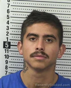 Mugshot of CARLOS FRANCISCO LOERA-MERAZ