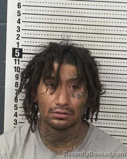 Mugshot of ANTHONY MICHAEL DURAN