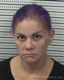 Mugshot of MARLENE ALVAREZ SANCHEZ