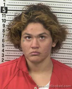 Booking photo from Dona Ana County, New Mexico
