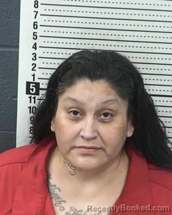 Booking photo from Dona Ana County, New Mexico