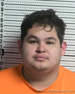 Mugshot of NOEL PEDREGON