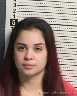 Mugshot of ALEXANDRA NICOLE LANDRY