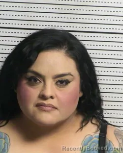 Mugshot of ANA E IBARRA