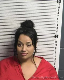 Booking photo from Dona Ana County, New Mexico