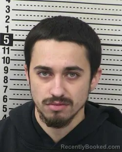 Mugshot of LUIS MANUEL LUNA