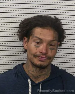 Booking photo from Dona Ana County, New Mexico