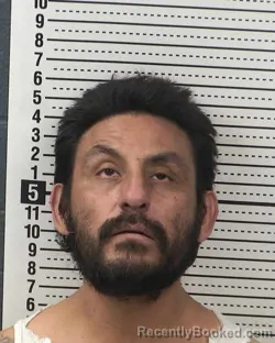 Mugshot of RAUL CABANAS