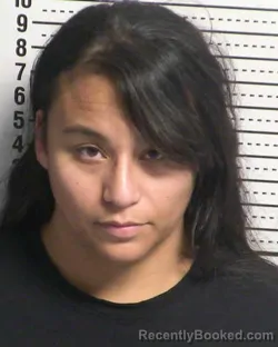 Mugshot of JOANNA OLIVAS CARILLO