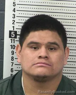Mugshot of FEDERICO MORENO-MENDEZ