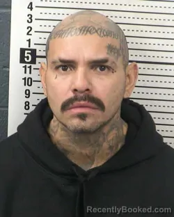 Mugshot of JORGE GONZALEZ