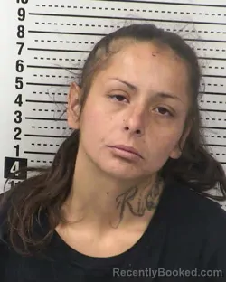 Booking photo from Dona Ana County, New Mexico