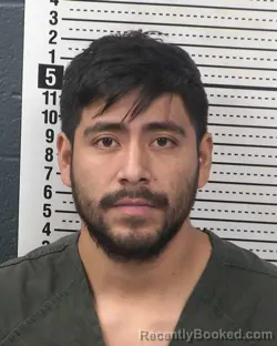 Mugshot of YENER VENTURA-PEREZ