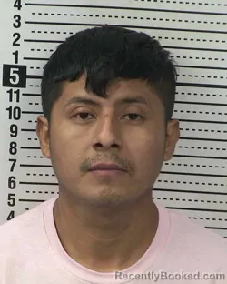 Mugshot of TIMOTEO ALMARAZ-PEREZ