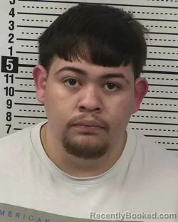 Mugshot of GERSON FABIAN TORRES GALLEGOS